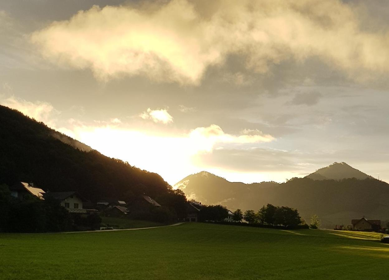 Hof Zur Steinwaend Bed and Breakfast Micheldorf in Oberösterreich Εξωτερικό φωτογραφία