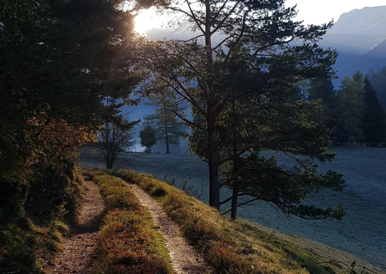 Hof Zur Steinwaend Bed and Breakfast Micheldorf in Oberösterreich Εξωτερικό φωτογραφία