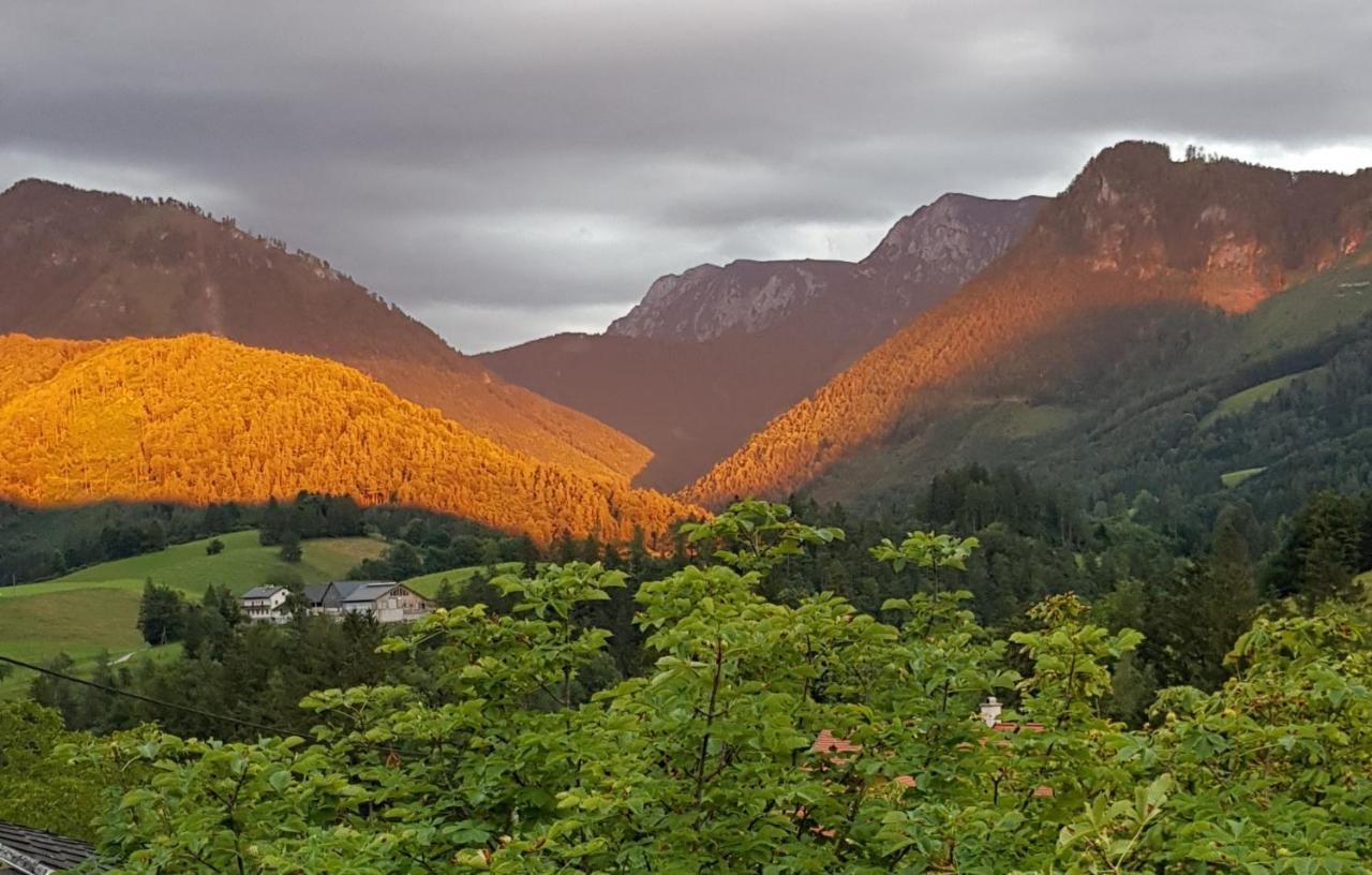 Hof Zur Steinwaend Bed and Breakfast Micheldorf in Oberösterreich Εξωτερικό φωτογραφία